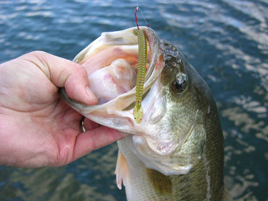 How to Fish Umbrella Rigs - Tips, Setup, and Baits