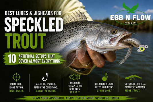 Best Lures and Jigheads for Speckled Trout: 10 Artificial Setups