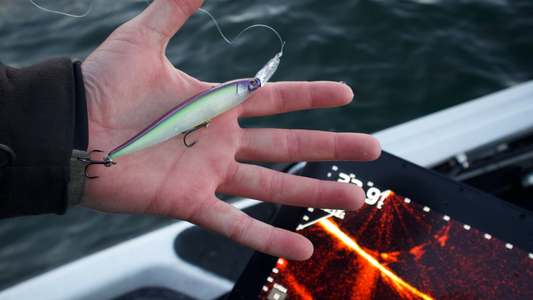 Forward-Facing Sonar and Fall Rate – Matching Jighead Weight for Better Fishing