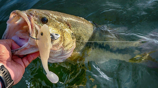 Heavy Jigheads and Big Swimbaits for Deep Water Fishing
