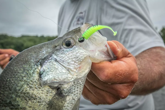 Understanding Jig Head Weights and Hook Sizes for Optimal Performance