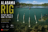 Alabama Rig Guide: Setup, Baits, Jigheads and When to Use an A-Rig