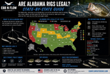 Are Alabama Rigs Legal? The Complete State-by-State Guide (2026)