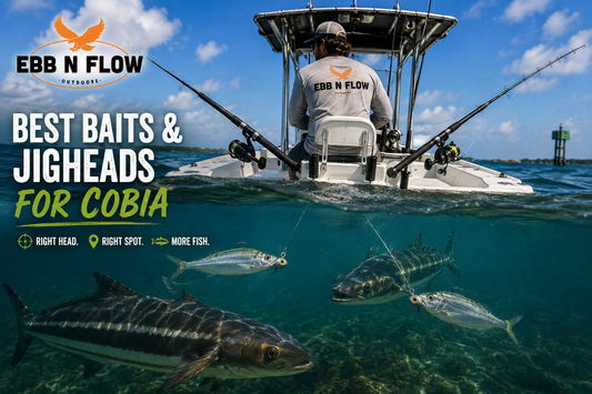 Best Baits and Jigheads for Cobia (2026)