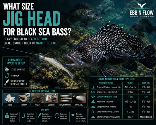 What Size Jig Head for Black Sea Bass?