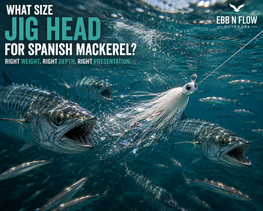 What Size Jig Head for Spanish Mackerel?