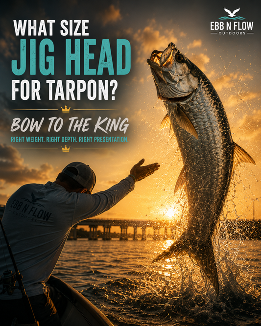 What Size Jig Head for Tarpon?
