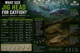 What Size Jig Head for Catfish?
