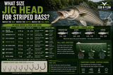 What Size Jig Head for Striped Bass?
