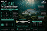 What Size Jig Head for Saltwater Striper?