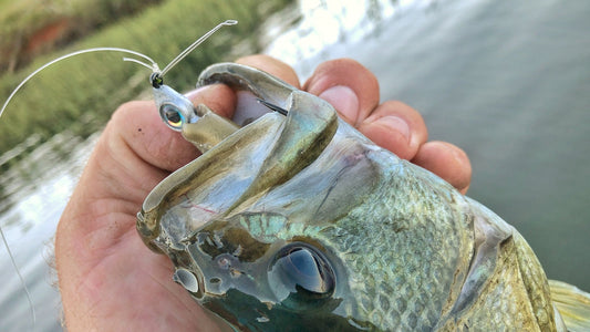 Best Jighead for Bass Fishing