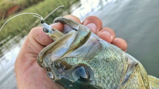 Best Jighead for Bass Fishing