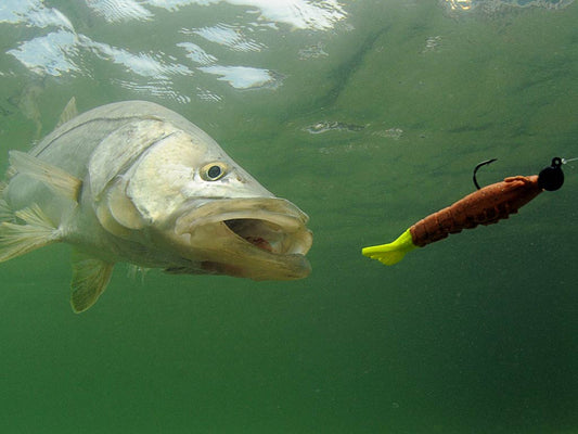 Saltwater Jig Heads - The Ultimate Guide for Anglers