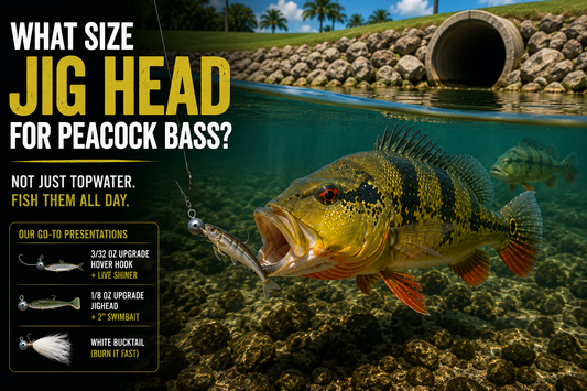 What Size Jig Head for Peacock Bass? Weight and Hook Size Guide